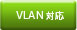 VLAN�Ή�